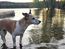photo thumbnail #2