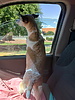 photo thumbnail #12