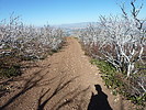 photo thumbnail #12