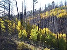 photo thumbnail #6