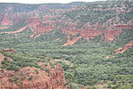 photo thumbnail #7