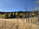 photo thumbnail #3