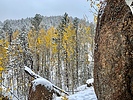 photo thumbnail #6