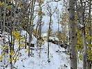 photo thumbnail #9