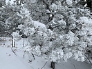 photo thumbnail #13