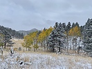 photo thumbnail #14
