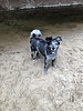 photo thumbnail #9