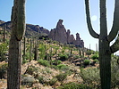 photo thumbnail #10