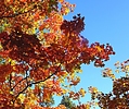 photo thumbnail #9