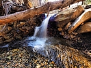 photo thumbnail #8