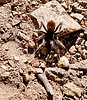 photo thumbnail #9