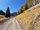 photo thumbnail #3
