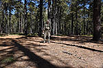 photo thumbnail #13