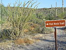 photo thumbnail #5