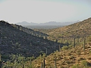 photo thumbnail #9