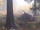 photo thumbnail #14