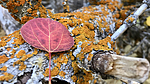 photo thumbnail #8