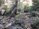 photo thumbnail #8