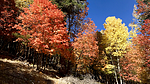 photo thumbnail #15