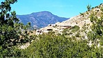photo thumbnail #14
