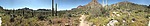 photo thumbnail #2