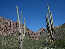 photo thumbnail #6