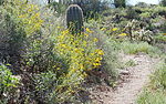 photo thumbnail #11