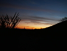 photo thumbnail #15