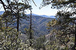 photo thumbnail #14