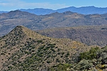 photo thumbnail #4