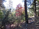 photo thumbnail #3