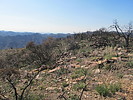 photo thumbnail #8