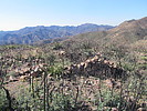 photo thumbnail #9