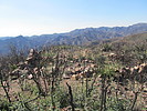 photo thumbnail #10
