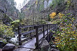 photo thumbnail #14