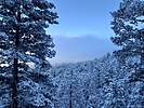 photo thumbnail #2
