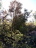 photo thumbnail #13