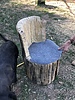 photo thumbnail #10