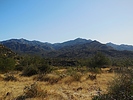photo thumbnail #7