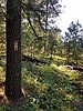 photo thumbnail #13