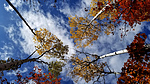 photo thumbnail #7