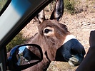 photo thumbnail #2