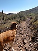 photo thumbnail #12