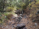 photo thumbnail #11
