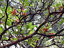 photo thumbnail #13