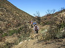 photo thumbnail #4