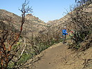 photo thumbnail #6
