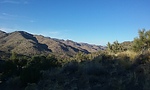 photo thumbnail #2