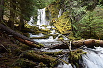 photo thumbnail #6