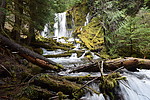 photo thumbnail #7